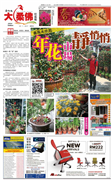 Sin Chew Johor 20/01/2017